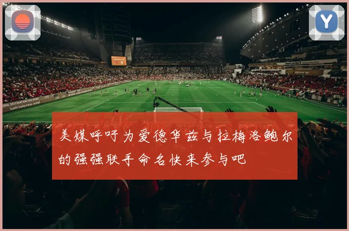 美媒呼吁为爱德华兹与拉梅洛鲍尔的强强联手命名快来参与吧