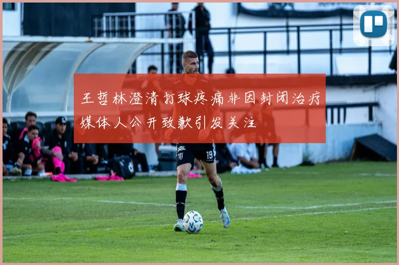 王哲林澄清打球疼痛非因封闭治疗媒体人公开致歉引发关注